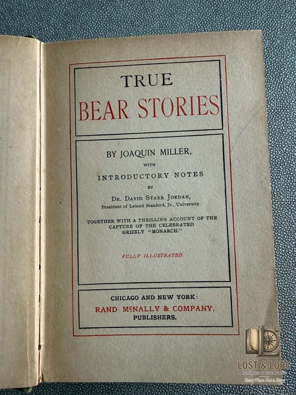 True Bear Stories — photo 3